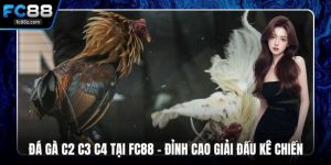 Đá gà c2 c3 c4