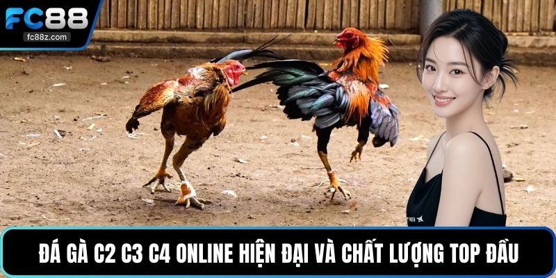 Đá gà c2 c3 c4 online hiện đại và chất lượng top đầu