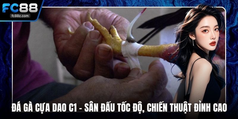đá gà cựa dao c1