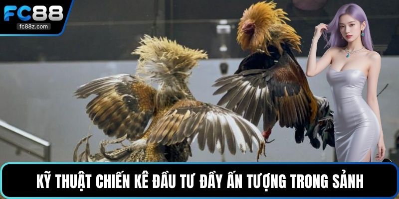 Kỹ thuật chiến kê đầu tư đầy ấn tượng trong sảnh