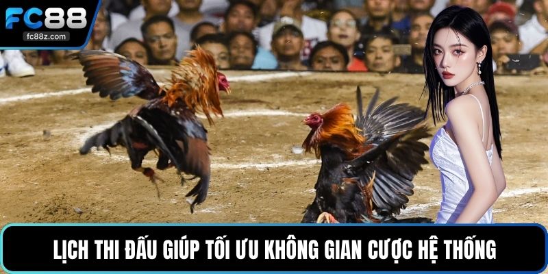 Lịch thi đấu giúp tối ưu không gian cược hệ thống