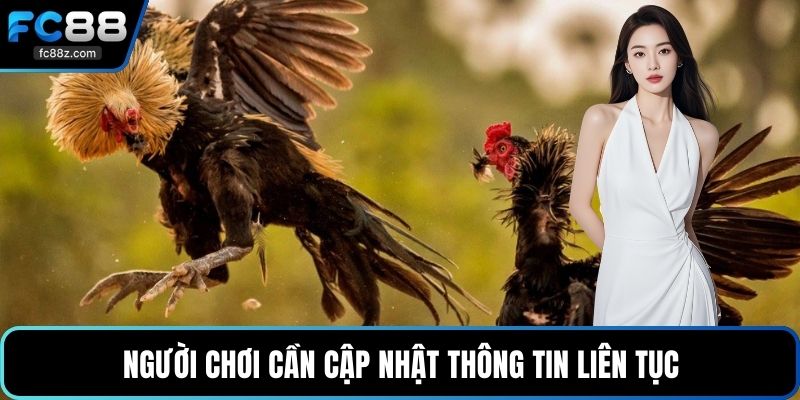 Người chơi cần cập nhật thông tin liên tục