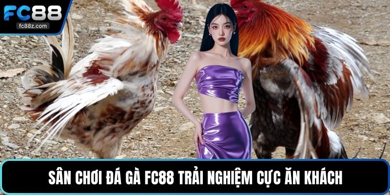 Sân chơi đá gà FC88 trải nghiệm cực ăn khách