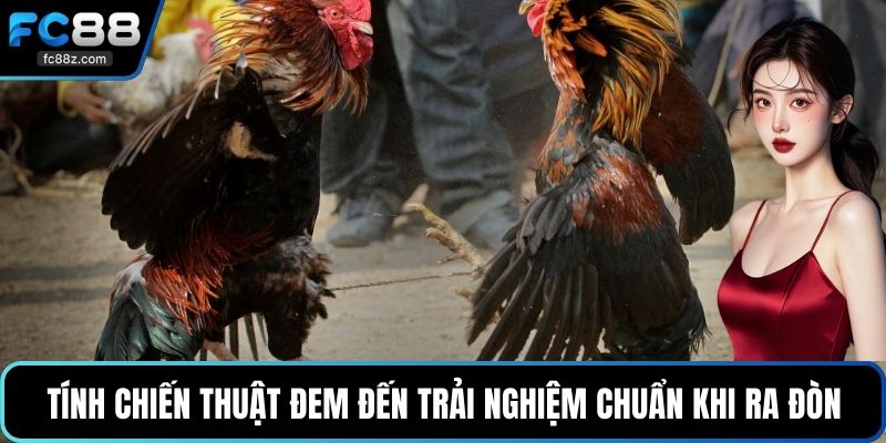 Tính chiến thuật đem đến trải nghiệm chuẩn khi ra đòn